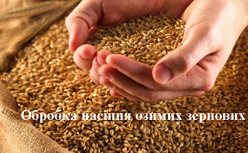 Обробка насіння озимих зернових